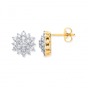 9ct Yellow Gold 1.00ct Diamond Cluster Stud Earrings